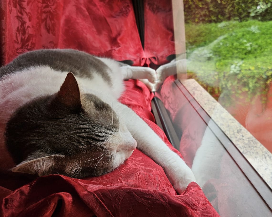 Thomas