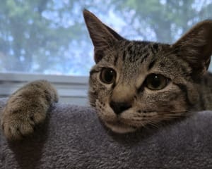 Max